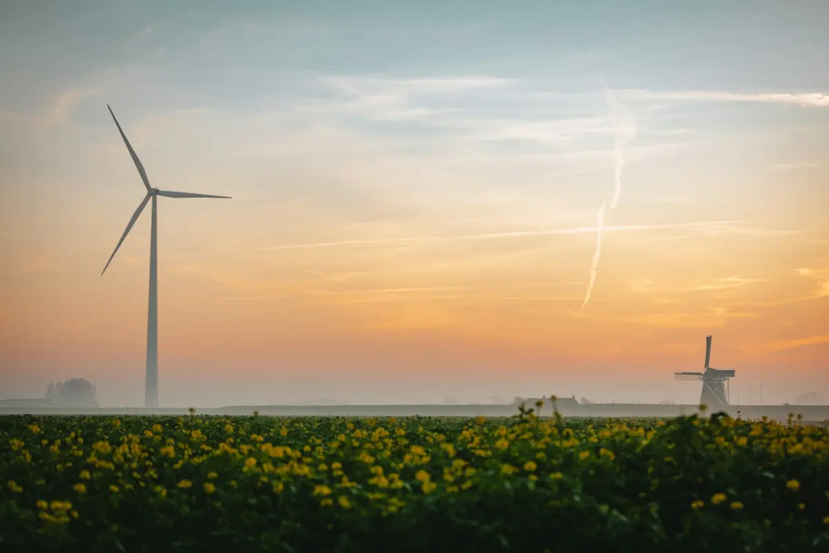 Flexmarkt netcongestie Flevoland: hoe bedrijven nu