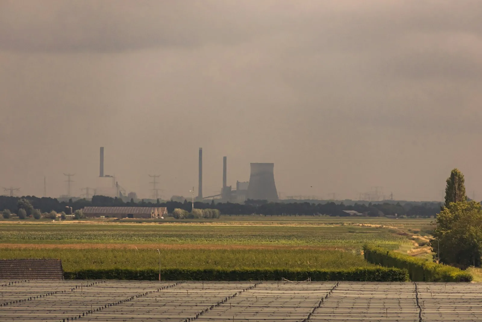 Netcongestie Flevoland bedrijven gevolgen 2026