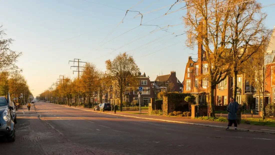 Stroomstoring Flevoland augustus 2026: patroon drie