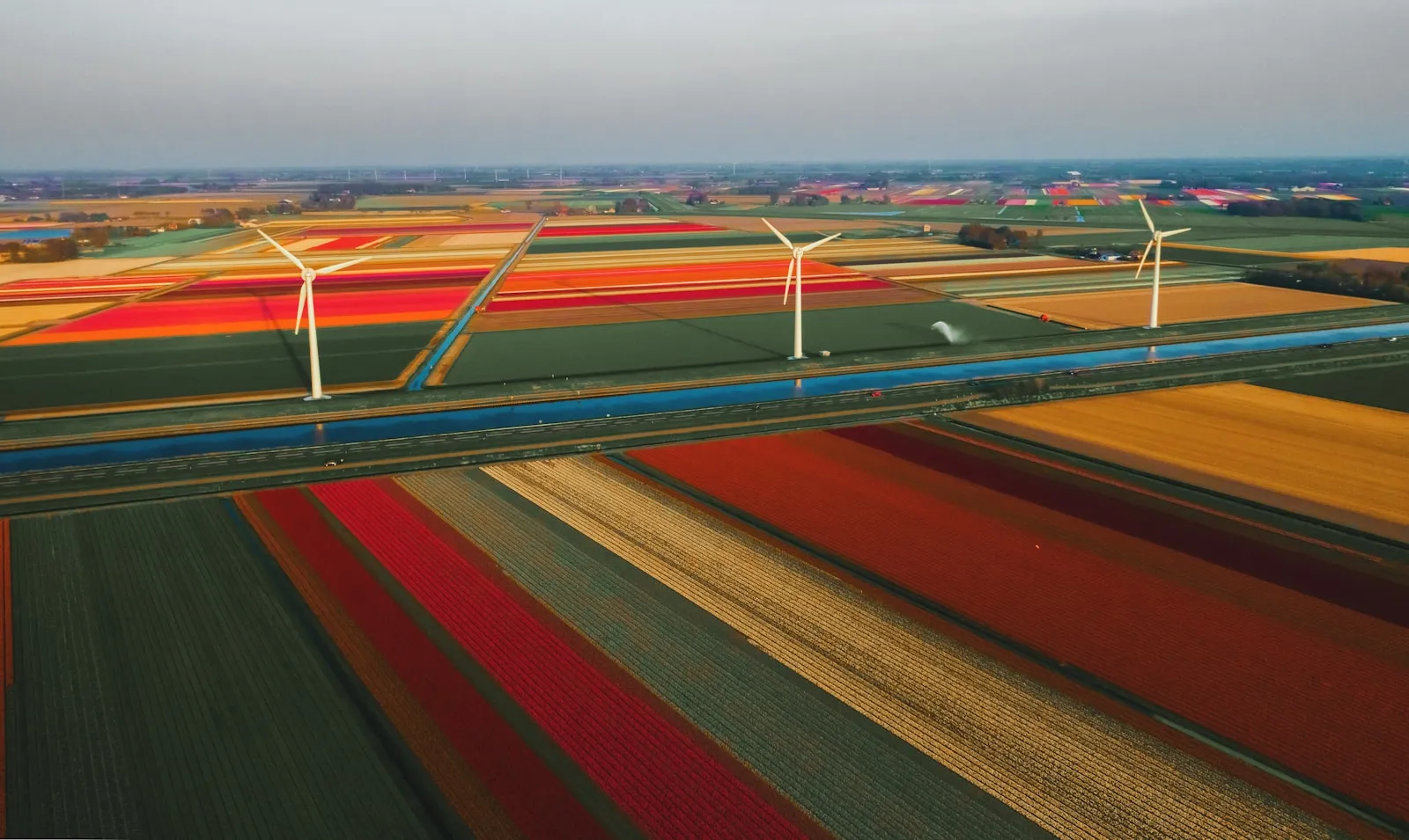 Windpark Zeewolde netcongestie stroomstoring per wijk